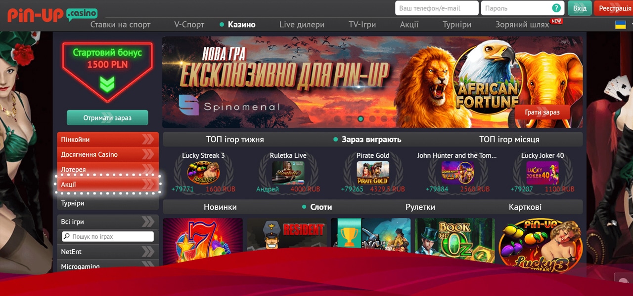поиск зеркала pin up casino